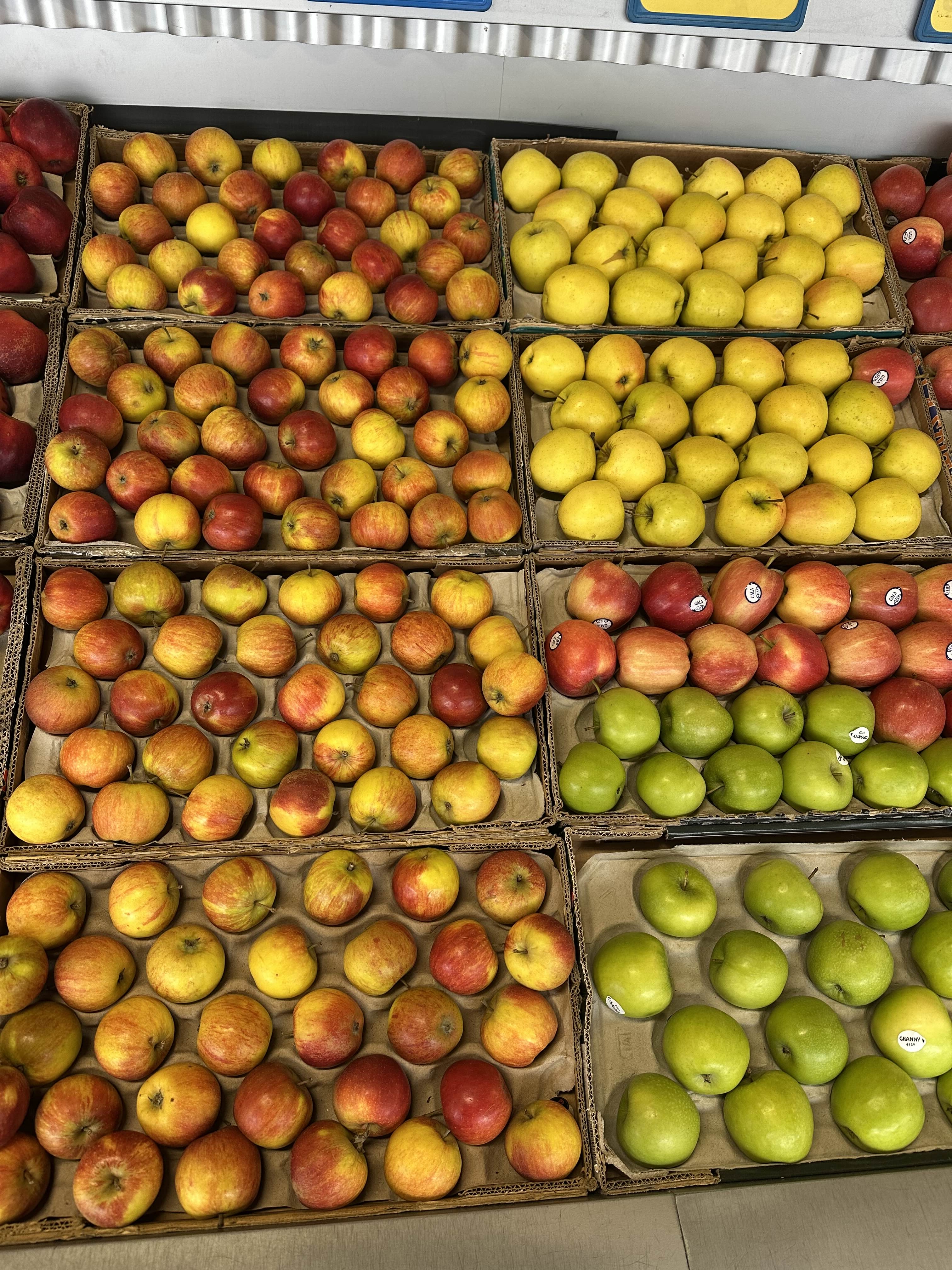 Lollipop Frukt sortiment 15