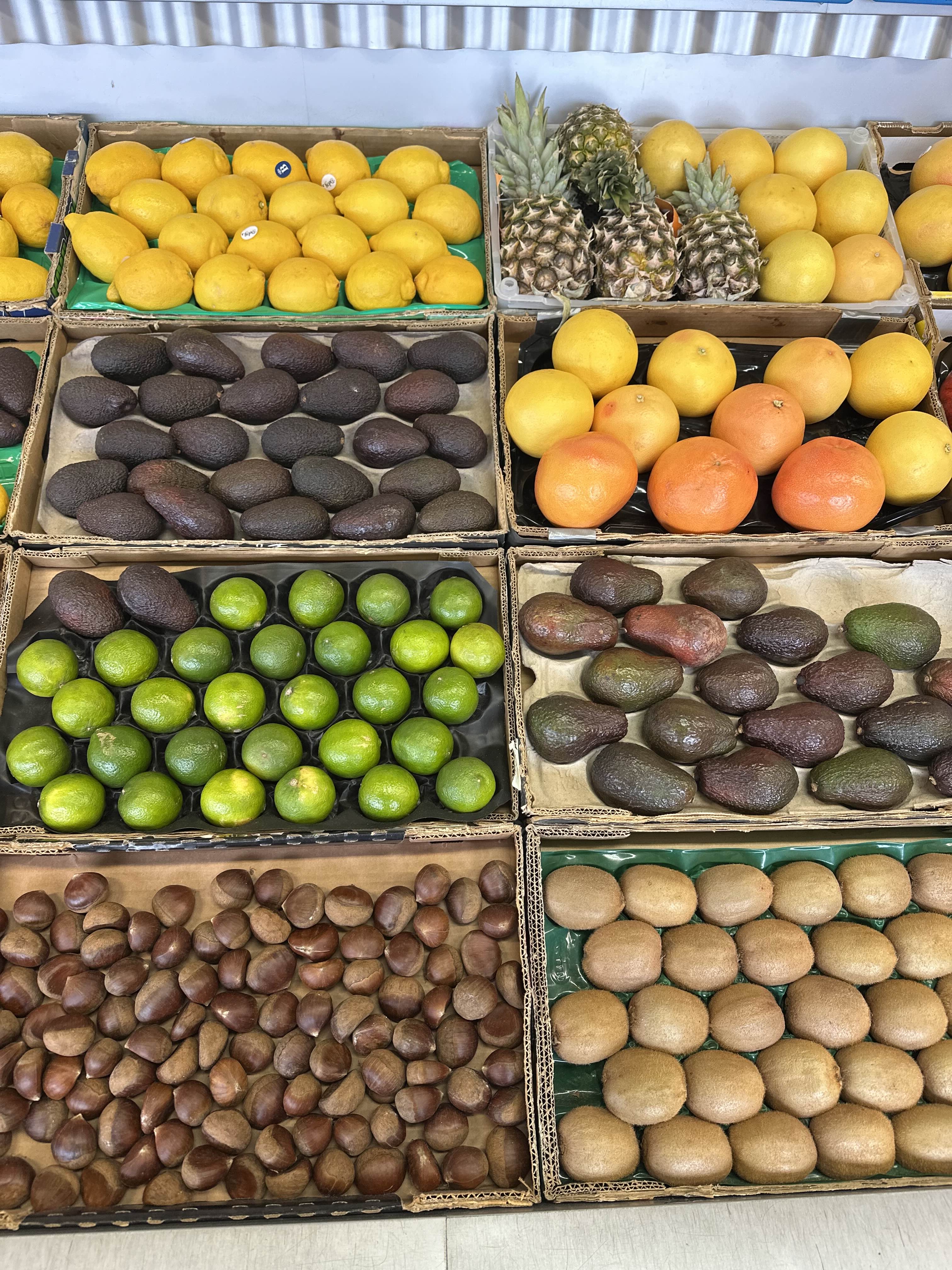 Lollipop Frukt sortiment 18