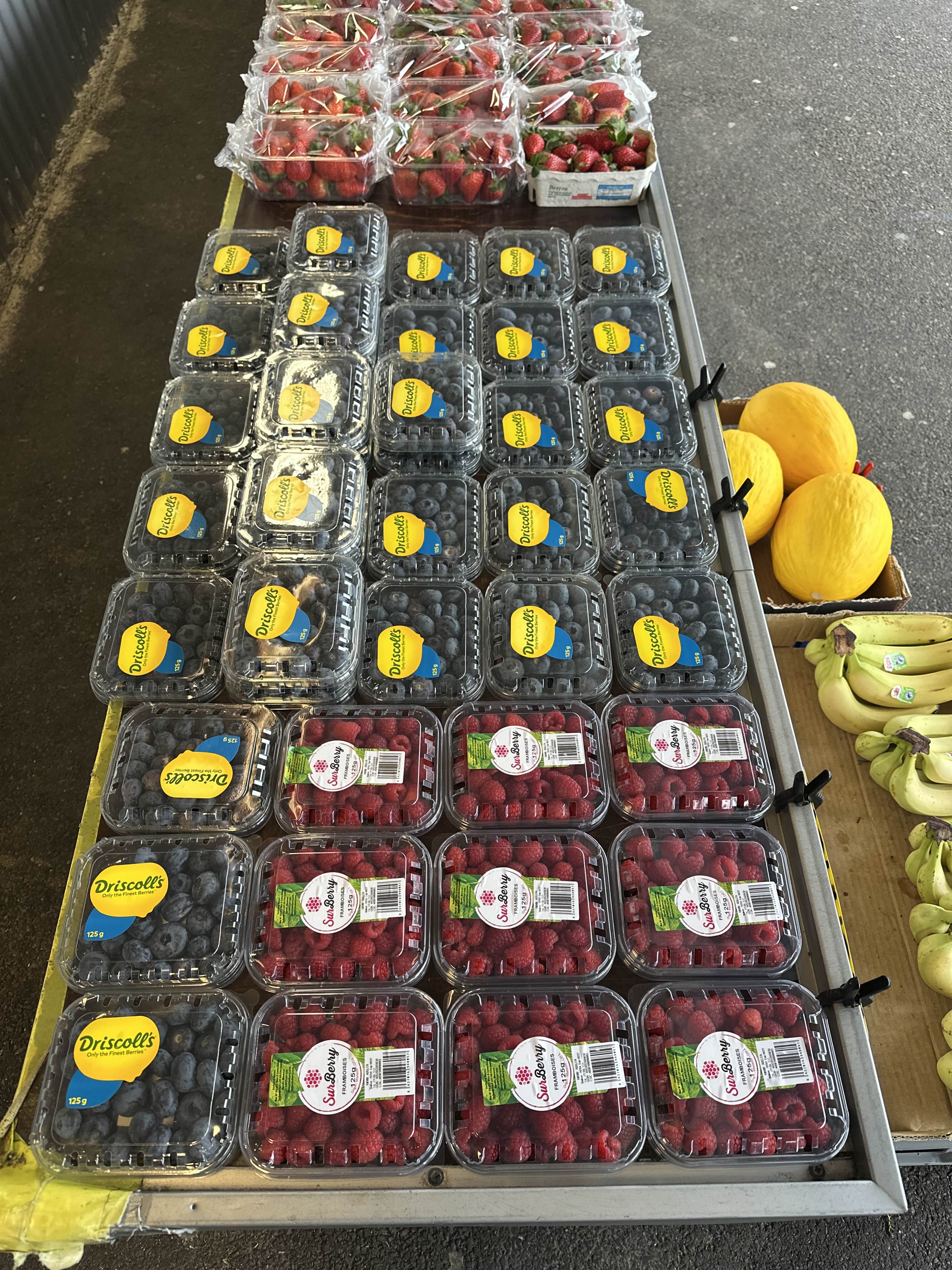 Lollipop Frukt sortiment 14