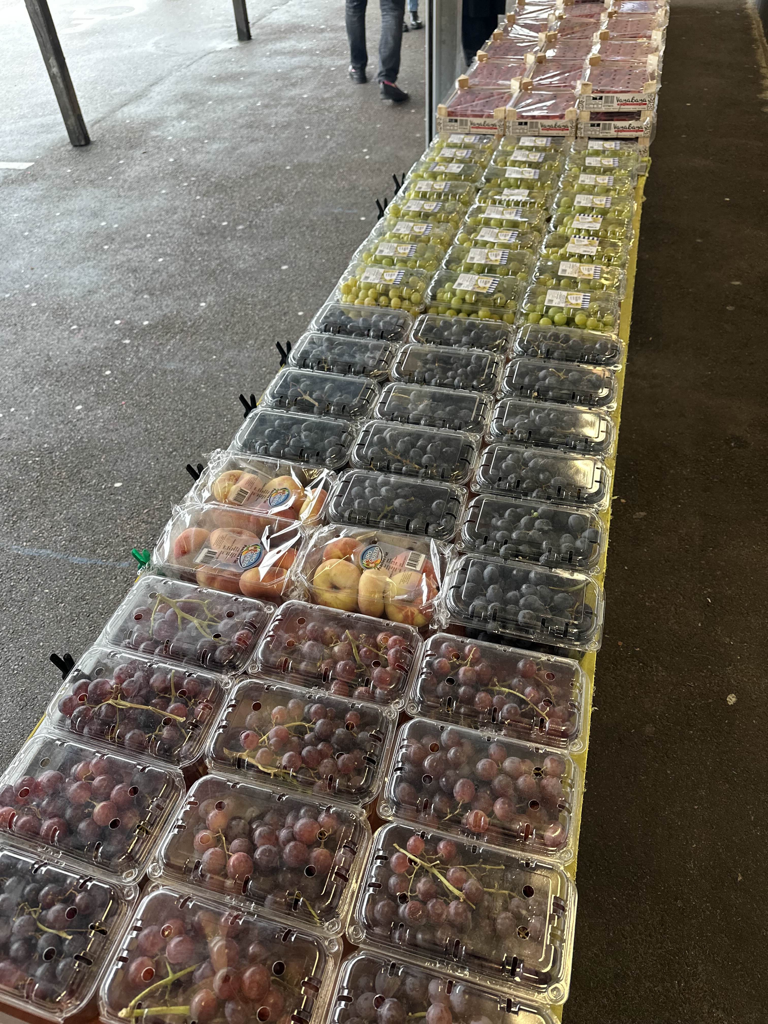 Lollipop Frukt sortiment 13