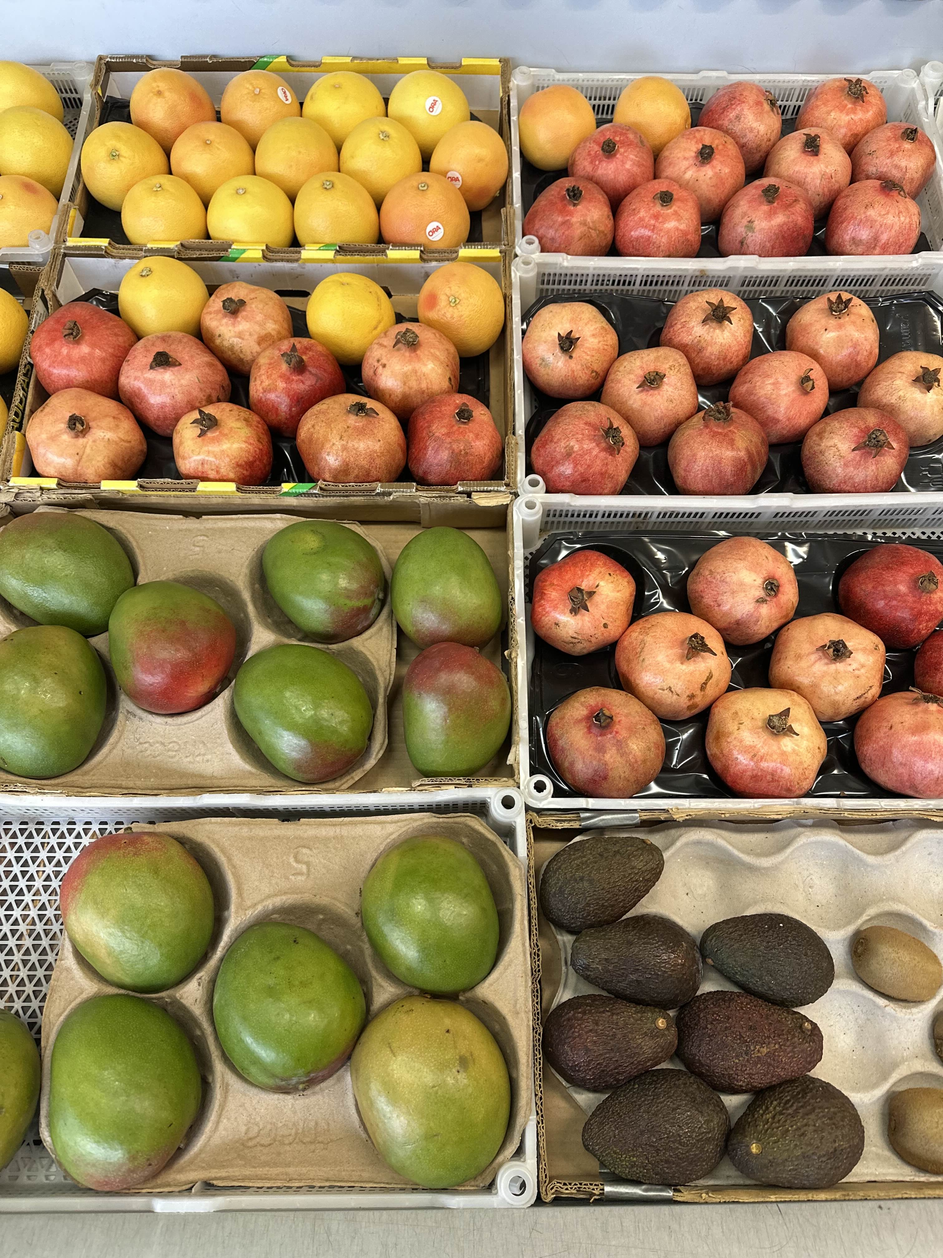 Lollipop Frukt sortiment 11