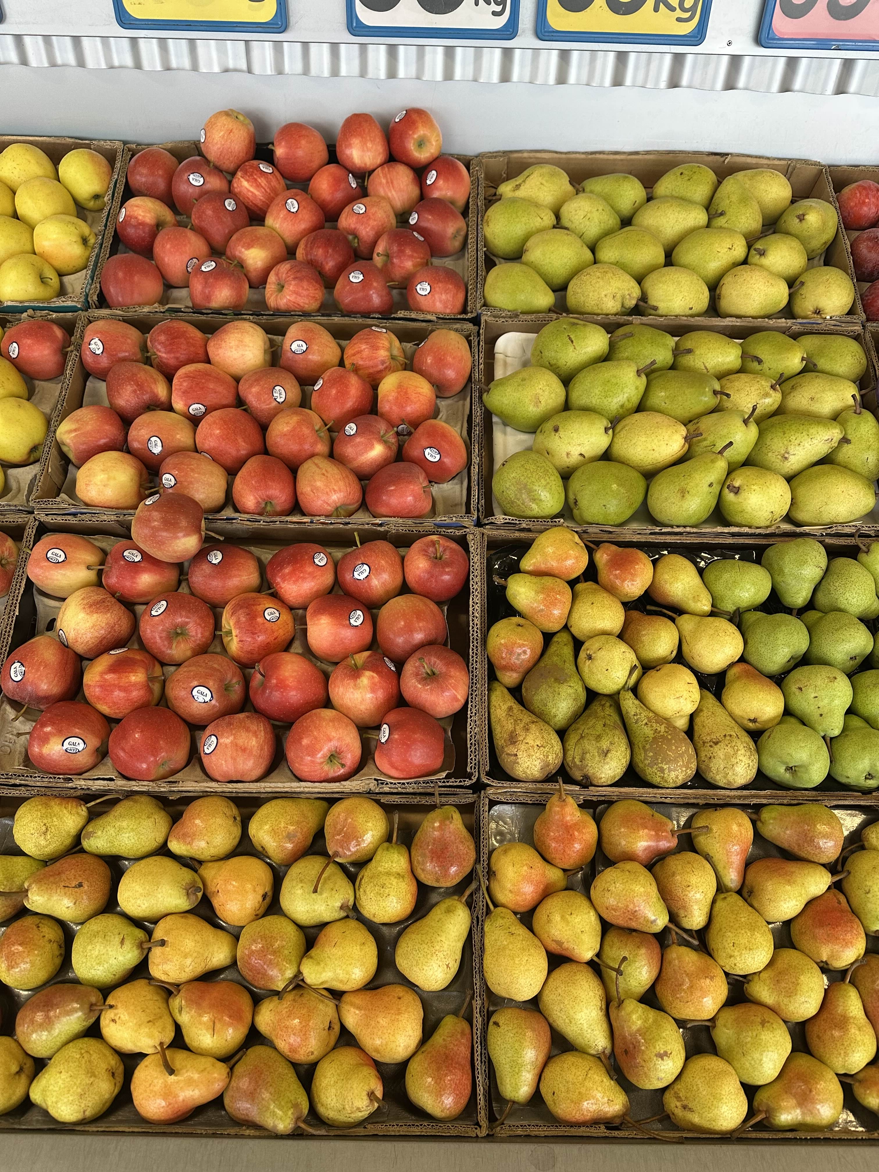 Lollipop Frukt sortiment 5