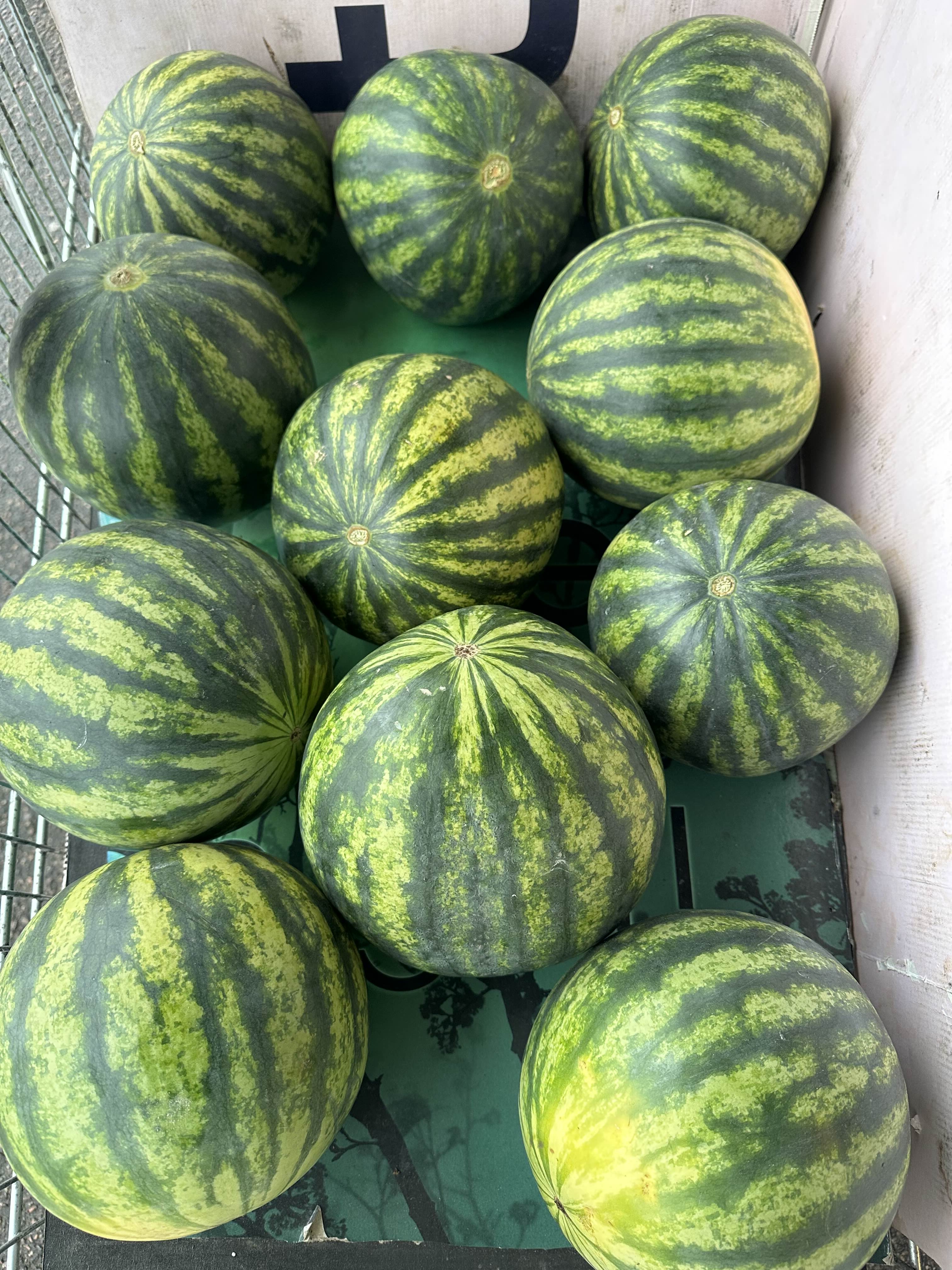 Lollipop Frukt sortiment 2